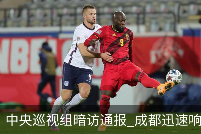 中央巡视组暗访通报 成都迅速响应立案拟顶格处罚